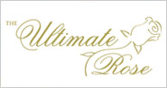 The Ultimate Rose