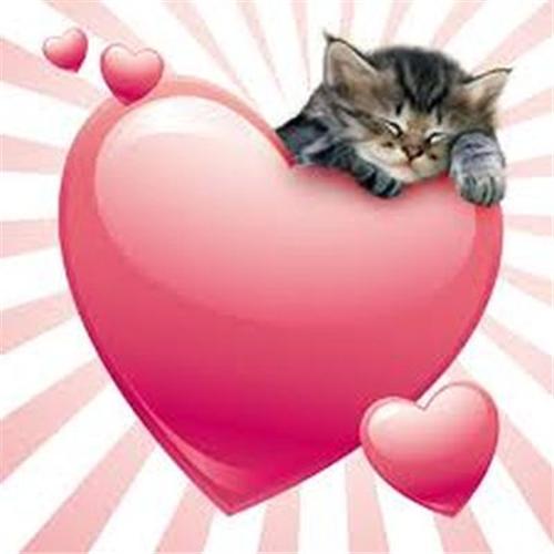 superlove
